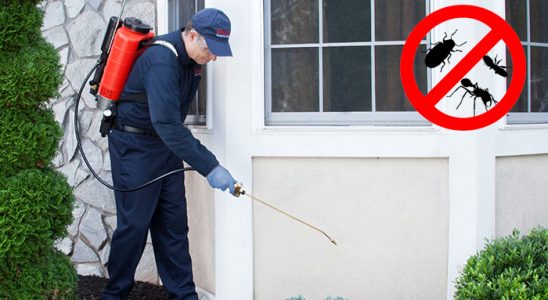Beypazarı Bit İlaçlama böcek ilaçlama ve haşere kontrolü — ilaclama-tr.com